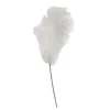 Homegifo *weeping Pampas Grass Branch White