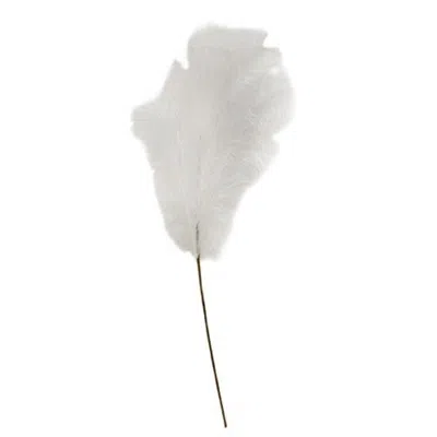 Homegifo *weeping Pampas Grass Branch White