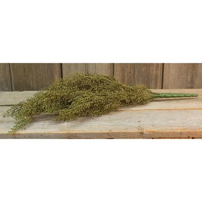 Homegifo Wheat Bush 19" In Green