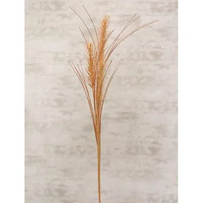 Homegifo Wheat Spray Tan 25" In Brown