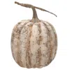 Homegifo White Birch Pumpkin 8"