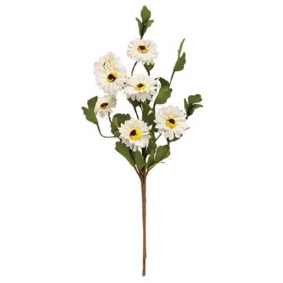 Homegifo White Daisy Pick 15" In Green