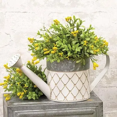 Homegifo White Diamond Pattern Watering Can In Multi