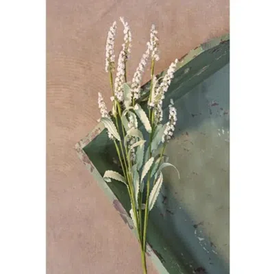 Homegifo White Heather Spray In Green