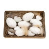 Homegifo White Speckled Eggs In Box