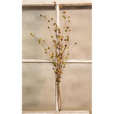 Homegifo Willow Sprouts Spray In Neutral