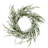 Homegifo *winter Sparkle Eucalyptus Wreath