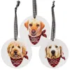 Homegifo Winter Wonder-lab Round Ornament 3 Asstd.