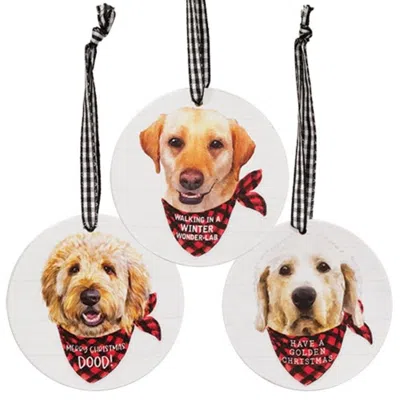 Homegifo Winter Wonder-lab Round Ornament 3 Asstd. In Multi