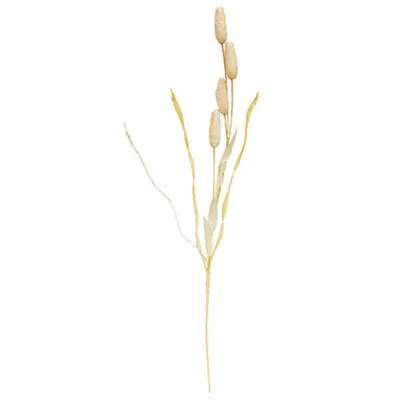 Homegifo Wispy Bunny Tail & Leaf Spray In Neutral