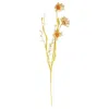 Homegifo Wispy Daisy & Dried Grass Spray