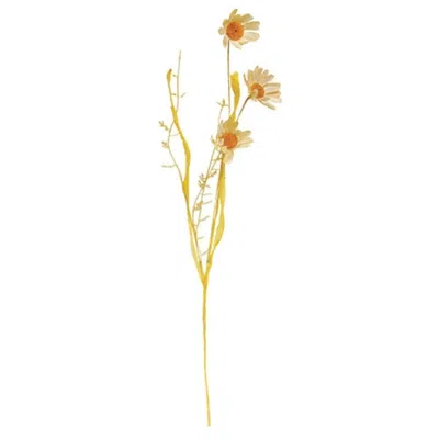 Homegifo Wispy Daisy & Dried Grass Spray In Animal Print