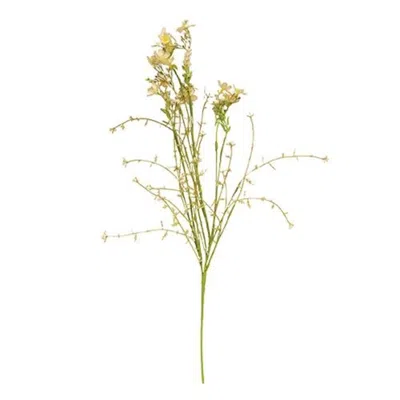 Homegifo Wispy Spring Buds Spray Cream In Green