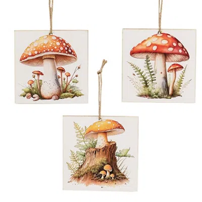 Homegifo Woodland Mushroom Square Ornament 3 Asstd. In Multi