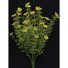 Homegifo Yellow Astilbe Bush 10.5"
