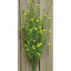 Homegifo Yellow Astilbe Bush 20"