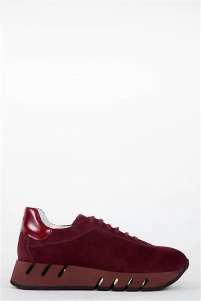 Homers Women's Lotus Crosta Velvet Sneakers In Burgundy Suede In Multi