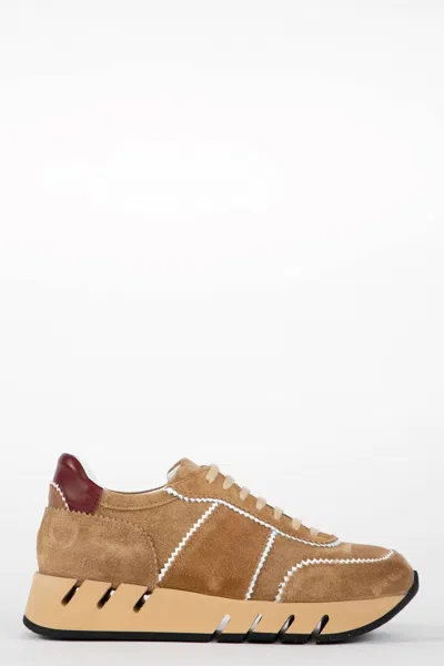Homers Women's Lotus Sneakers In Light Brown In Multi