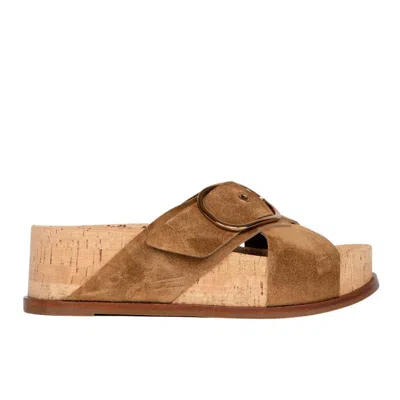 Homers Women's Nature Sandal In Brown