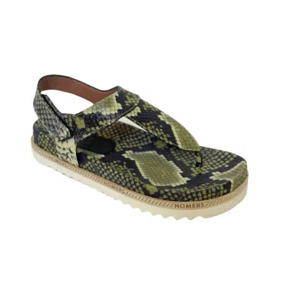 Homers Women's Snakeskin Sandal In Viper Canapa Green Python In Animal Print