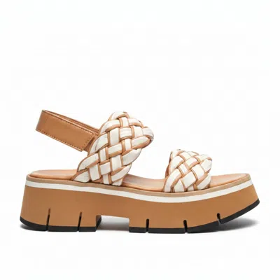 Homers Women's Tubular Double Strap Sandal In Latte In Multi