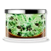 Homeworx Mint Chip Ice Cream 4-wick Scented Candle In Multi