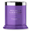 Homeworx Sea Salt Lavender 1-wick Scented Candle In Pink
