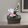 Homezia 11" Pink Green And Brown Polyresin Hummingbird Tabletop Fountain