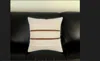 Homezia 20" X 20" Ivory And Brown Striped Cotton Blend Zippered Pillow