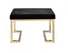 Homezia 24" Black Cotton Blend And Gold Ottoman