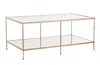 Homezia 42" Gold Glass And Metal Rectangular Mirrored Coffee Table