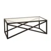 Homezia 46" Black Glass And Steel Coffee Table