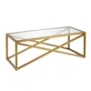 Homezia 46" Gold Glass And Steel Coffee Table