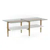 Homezia 47" Gold Glass And Steel Coffee Table With Shelf
