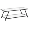 Homezia 48" Black Glass And Steel Coffee Table With Shelf
