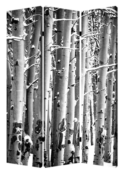 Homezia 48" X 72" Gray And White Wood Canvas Birch Screen