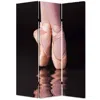 Homezia 48" X 72" Multi Color Wood Canvas Ballet Screen