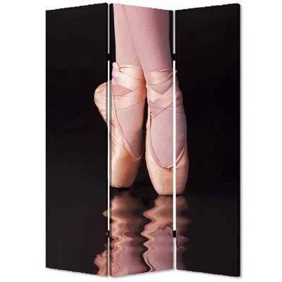 Homezia 48" X 72" Multi Color Wood Canvas Ballet Screen