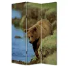 Homezia 48" X 72" Multi Color Wood Canvas Bear Screen