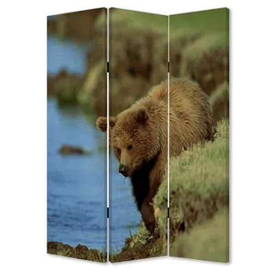 Homezia 48" X 72" Multi Color Wood Canvas Bear Screen