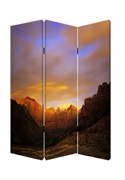 Homezia 48 X 72 Multi Color Wood Canvas Desert Screen In Brown