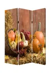 Homezia 48 X 72 Multi Color Wood Canvas Harvest Screen