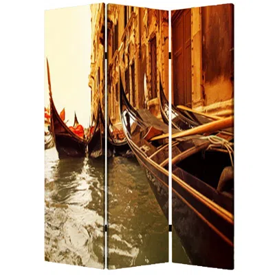 Homezia 48" X 72" Multi Color Wood Canvas Venice Screen