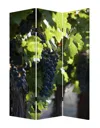 Homezia 48" X 72" Multi Color Wood Canvas Wine Country Screen