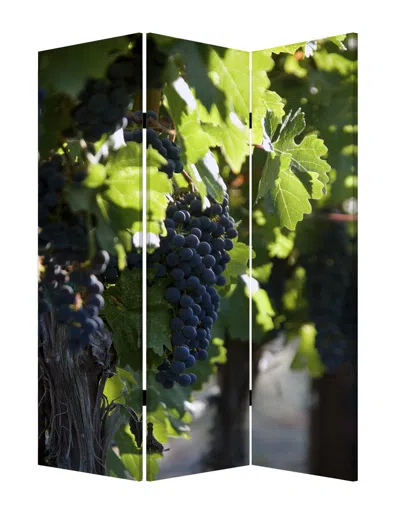 Homezia 48" X 72" Multi Color Wood Canvas Wine Country Screen