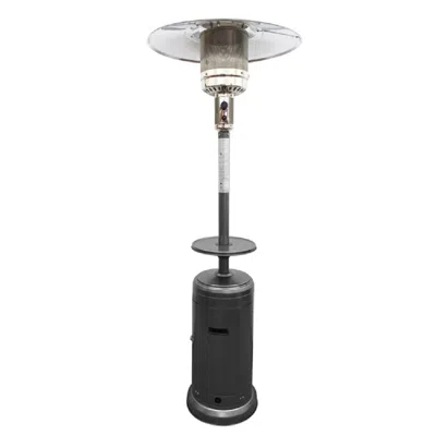 Homezia 48000 Btu Silver Steel Propane Cylindrical Pole Standing Patio Heater In Black