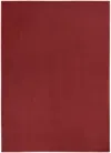 Homezia 5' X 7' Brick Red Non Skid Indoor Outdoor Area Rug