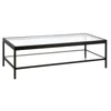 Homezia 54" Clear And Black Glass And Steel Coffee Table With Shelf