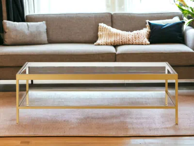 Homezia 54" Clear And Gold Glass And Steel Coffee Table With Shelf