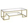 Homezia 54" Gold Glass And Steel Coffee Table With Shelf